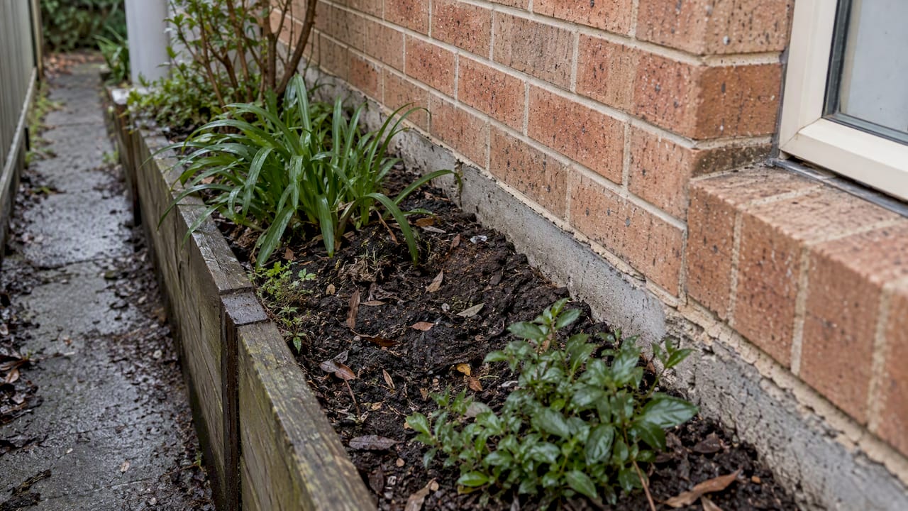 Raised garden bed obscuring a home slab edge